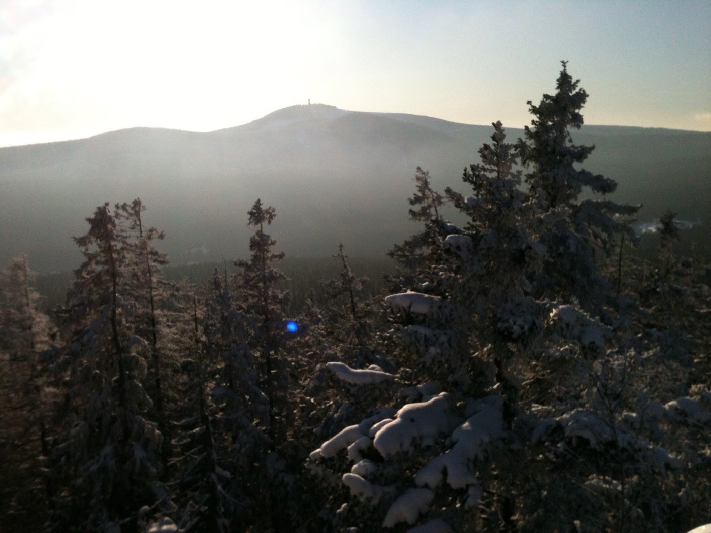 Nadelwald am Wurmberg – höchster Berg Niedersachsens
